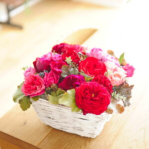 AWgt[@o@XNGA^oXPbgdāiԌnjj oYj aj o[XfB uC_  a 蕨 t[Mtg v[g j  