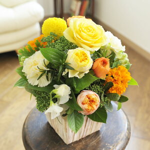 yzAWgt[SSTCY@Warm ImpressediFEIWnjfUCi[Yt[ j   JS t[Mtg  v[g 蕨 Sz bZ[