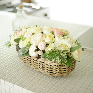 AWgt[@o@FLOWER GARDENioXPbgdāEnjj oYj aj o[XfB uC_  a 蕨 t[Mtg v[g j  