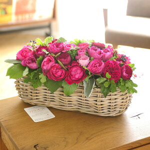 AWgt[@o@FLOWER GARDENioXPbgdāE܂~bNXjj oYj aj o[XfB uC_  a 蕨 t[Mtg v[g