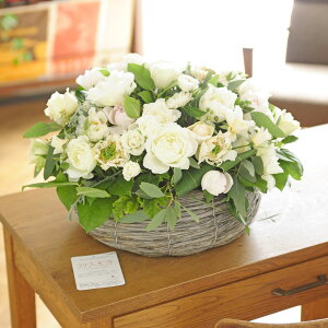 AWgt[@o@round^oXPbgdāiLTCYEnjj oYj aj o[XfB uC_  a 蕨 t[Mtg v[g j 