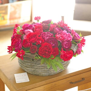 AWgt[@o@round^oXPbgdāiLTCYEԌnjj oYj aj o[XfB uC_  a 蕨 t[Mtg v[g j 