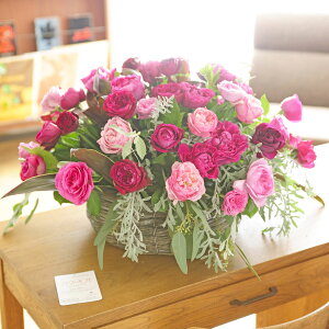 AWgt[@o@round^oXPbgdāiLTCYE܂~bNXjj oYj aj o[XfB uC_  a 蕨 t[Mtg v[