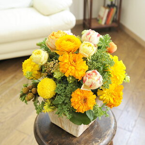 yzAWgt[STCY@Warm ImpressediFEIWnjfUCi[Yt[ j   JS t[Mtg  v[g 蕨 Sz bZ[W