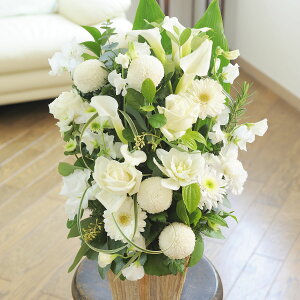 yzAWgt[@G&W BasketiO[EnjfUCi[Yt[ j   JS t[Mtg  v[g 蕨 Sz bZ[WJ[h 