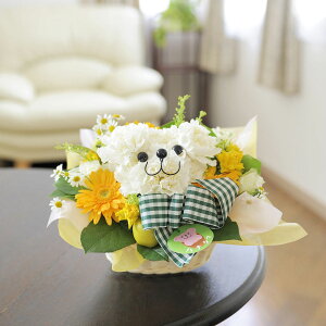 yzAj}t[@AWniN}izCg/ԃ^CvjnhCh   j t[Mtg Mtg v[g 蕨  Sz bZ[WJ[h