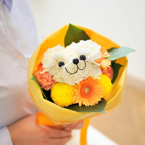 yzAj}t[@niN}u[PizCg/ԃ^CvjnhCh   j t[Mtg Mtg v[g 蕨  Sz bZ[WJ[h 