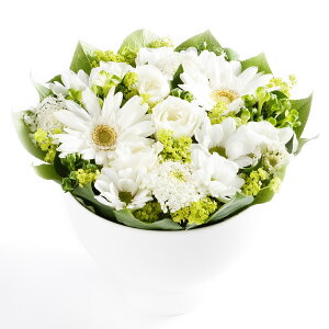 A}t[@relax@`X[ȎԂ߂ׂɁ`fUCi[Y AWgt[ nhCh  aj j  v[g 蕨 Sz bZ[WJ[h