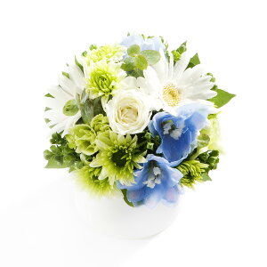 A}t[@refresh@`C]Ɂ`y~jTCYzfUCi[Y AWgt[ nhCh  aj j  v[g 蕨 Sz bZ[WJ[h