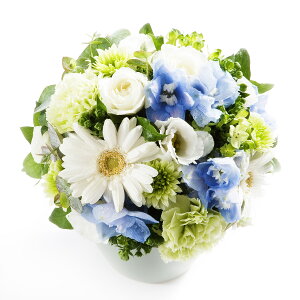 A}t[@refresh@`C]Ɂ`fUCi[Y AWgt[ nhCh  aj j  v[g 蕨 Sz bZ[WJ[h yMt 