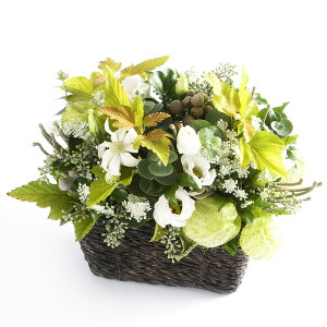 A}t[@good night@`薰ɗƂ`fUCi[Y AWgt[ nhCh  aj j  v[g 蕨 Sz bZ[WJ