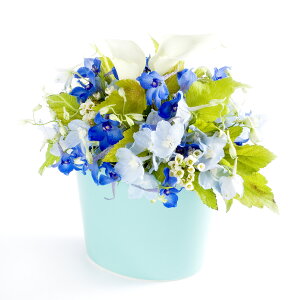 A}t[@good morning@`̂߂Ɂ`fUCi[Y AWgt[ nhCh  aj j  v[g 蕨 Sz bZ[WJ[h