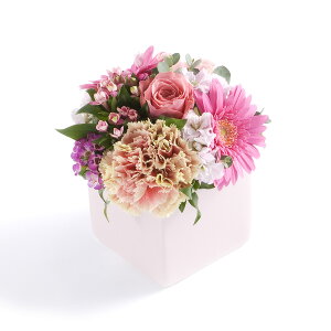 A}t[@good-bye@`lł`y~jTCYzfUCi[Y AWgt[ nhCh  aj j  v[g 蕨 Sz bZ[WJ