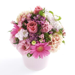 A}t[@good-bye@`lł`fUCi[Y AWgt[ nhCh  aj j  v[g 蕨 Sz bZ[WJ[h yMt