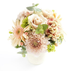 A}t[@cool-down@`CC`y~jTCYzfUCi[Y AWgt[ nhCh  aj j  v[g 蕨 Sz bZ[WJ[