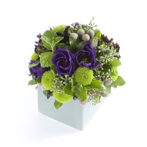 A}t[@concentrate@`WƂ`y~jTCYzfUCi[Y AWgt[ nhCh  aj j  v[g 蕨 Sz bZ[W