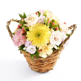 アロマフラワー　child-birth　〜出産おめでとう〜【ミニサイズ】デザイナーズ アレンジメントフラワー ハンドメイド お花 誕生日祝い 結婚祝い 贈答 プレゼント 贈り物 全国配送 メッセージカード無料 楽ギフ 送料無料