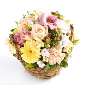 A}t[@child-birth@`oY߂łƂ`fUCi[Y AWgt[ nhCh  aj j  v[g 蕨 Sz bZ[WJ[h yM