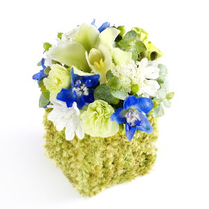 A}t[@awake@`CU蕥`y~jTCYzfUCi[Y AWgt[ nhCh  aj j  v[g 蕨 Sz bZ[WJ