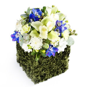 A}t[@awake@`CU蕥`fUCi[Y AWgt[ nhCh  aj j  v[g 蕨 Sz bZ[WJ[h yMt