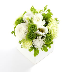 A}t[@start@`V͂܂jā`y~jTCYzfUCi[Y AWgt[ nhCh  aj j  v[g 蕨 Sz bZ