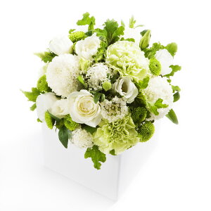 A}t[@start@`V͂܂jā`fUCi[Y AWgt[ nhCh  aj j  v[g 蕨 Sz bZ[WJ[h 