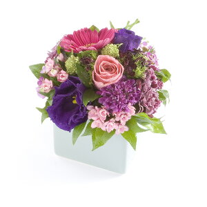 A}t[@romantic@`OWA[ȂЂƎ̖i`y~jTCYzfUCi[Y AWgt[ nhCh  aj j  v[g 蕨 Sz