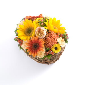 A}t[@respect@`h邠̕ց`y~jTCYzfUCi[Y AWgt[ nhCh  aj j  v[g 蕨 Sz bZ[W