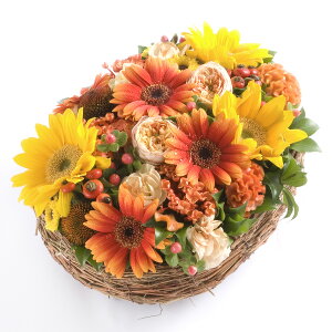 A}t[@respect@`h邠̕ց`fUCi[Y AWgt[ nhCh  aj j  v[g 蕨 Sz bZ[WJ[h yM