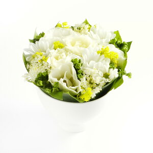 A}t[@relax@`X[ȎԂ߂ׂɁ`y~jTCYzfUCi[Y AWgt[ nhCh  aj j  v[g 蕨 Sz b