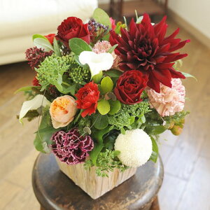 ydijdjƂԂꏏɂ͂zAWgt[STCY@Vivid@RediԌnjo oj uj j \ Cxg  y 蕨 t[Mtg v[g 