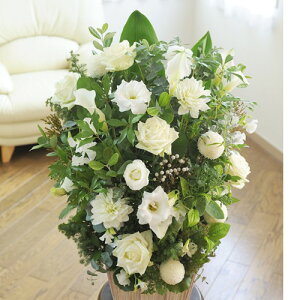 ydijdjƂԂꏏɂ͂zAWgt[LTCY@Refreshing@CoolnessiO[Enjj Џj uC_ EFfBO  蕨 t[Mtg v