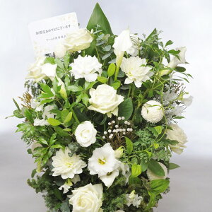 ydijdjƂԂꏏɂ͂zAWgt[LTCY@Refreshing@CoolnessiO[Enjo oj uj j \ Cxg y 蕨 t[Mtg 