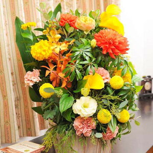 ydijdjƂԂꏏɂ͂zAWgt[LTCY@Warm@ImpressediFEIWnjo oj uj j \ Cxg  y 蕨 t[M