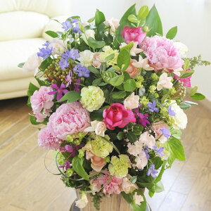 ydijdjƂԂꏏɂ͂zAWgt[LTCY@GirlishnessisNnjaj aj a a o o[XfB 蕨 t[Mtg v[g j 