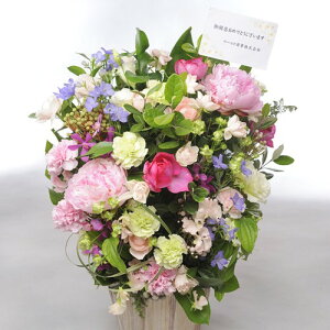 ydijdjƂԂꏏɂ͂zAWgt[LTCY@GirlishnessisNnj @ Cj މ@j 蕨 t[Mtg v[g j  