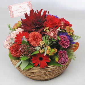 ydijdjƂԂꏏɂ͂zAWgt[@Round@BasketiԌnjj oYj aj JƏj җj zj 蕨 t[Mtg v[g j 