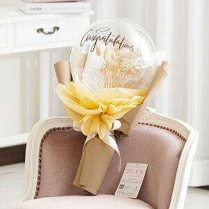 o[Mtg@NAo[ԑEu[P@r^~J[iSTCYj D nCZX IV ƑnI 킢 IWieB v[g 蕨 Sz  bZ[