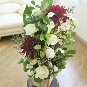 yzfUCi[Yt[@Flowerly Special@1.5~R[XAWgt[ j   JS t[Mtg  v[g 蕨 Sz D bZ[WJ