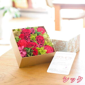 fUCi[Y@vU[uht[@Sweet Box@Iׂ5FfUCi[Y nhCh  a  oY  ސE Vz JX J ړ] AC  v[g Sz bZ[WJ[