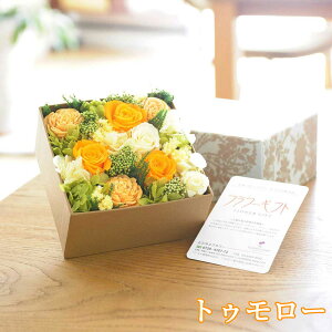 fUCi[Y@vU[uht[@Sweet Box@Iׂ5FfUCi[Y nhCh  a  oY  ސE Vz JX J ړ] AC  v[g Sz bZ[WJ[