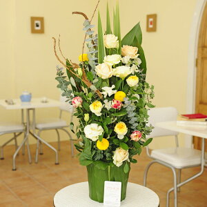 yzfUCi[YAWgt[@Green Leaf PotiSTCYj2~R[XAWgt[ j   JS t[Mtg  v[g 蕨 Sz 