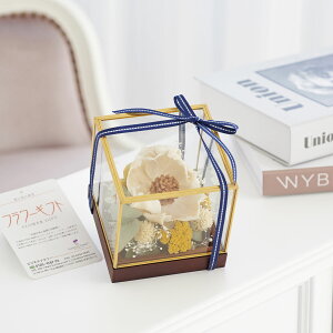 yzhCt[@KXMtg{bNX@i`AC{[iSSTCYjj  hCt[ CeA Mtg{bNX t[Mtg  v[g 蕨 