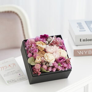 yzhCt[@y[p[Mtg{bNX@[sNiSSTCYjj  hCt[ CeA Mtg{bNX t[Mtg  v[g 蕨 Sz