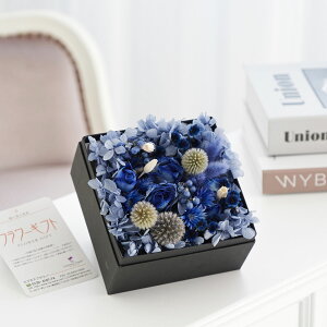 yzhCt[@y[p[Mtg{bNX@_XeBu[iSSTCYjj  hCt[ CeA Mtg{bNX t[Mtg  v[g 蕨 S