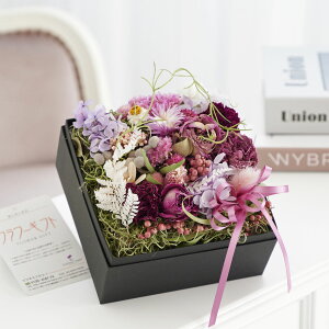 yzhCt[@y[p[Mtg{bNX@[sNiSTCYjj  hCt[ CeA Mtg{bNX t[Mtg  v[g 蕨 Sz