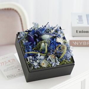 yzhCt[@y[p[Mtg{bNX@_XeBu[iSTCYjj  hCt[ CeA Mtg{bNX t[Mtg  v[g 蕨 Sz