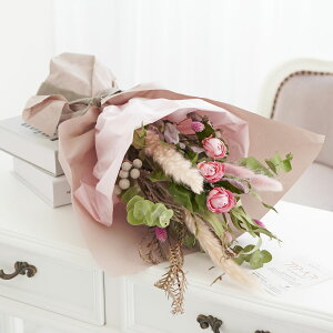 yzhCt[@XbOEԑ@[sNiSSTCYjj  hCt[ CeA ԑ u[P XbO t[Mtg  v[g 蕨 Sz 