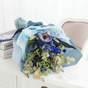 yzhCt[@XbOEԑ@_XeBu[iSTCYjj  hCt[ CeA ԑ u[P XbO t[Mtg  v[g 蕨 Sz 