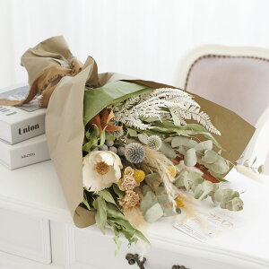 yzhCt[@XbOEԑ@i`AC{[iSTCYjj  hCt[ CeA ԑ u[P XbO t[Mtg  v[g 蕨 S